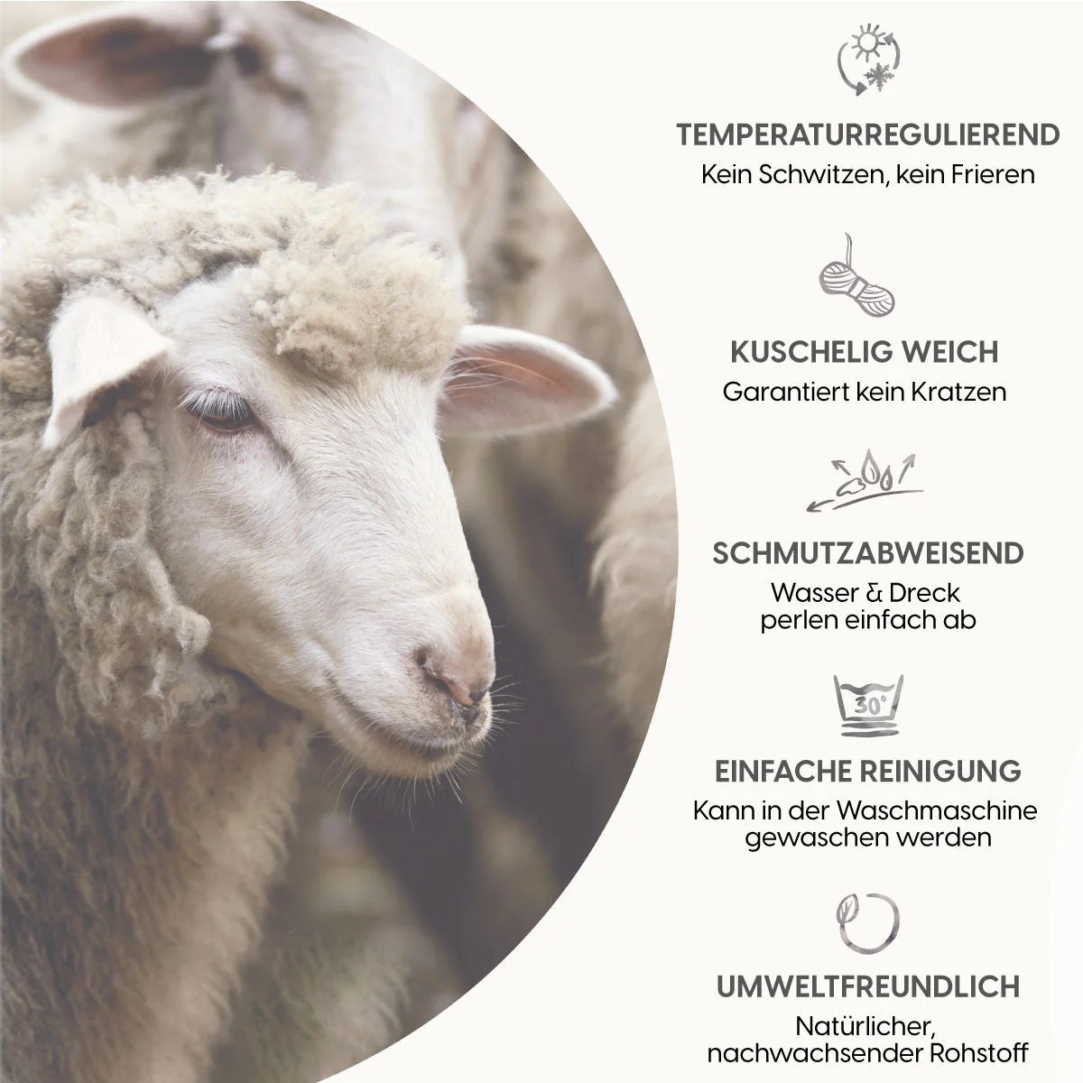 Vorschaubild 20