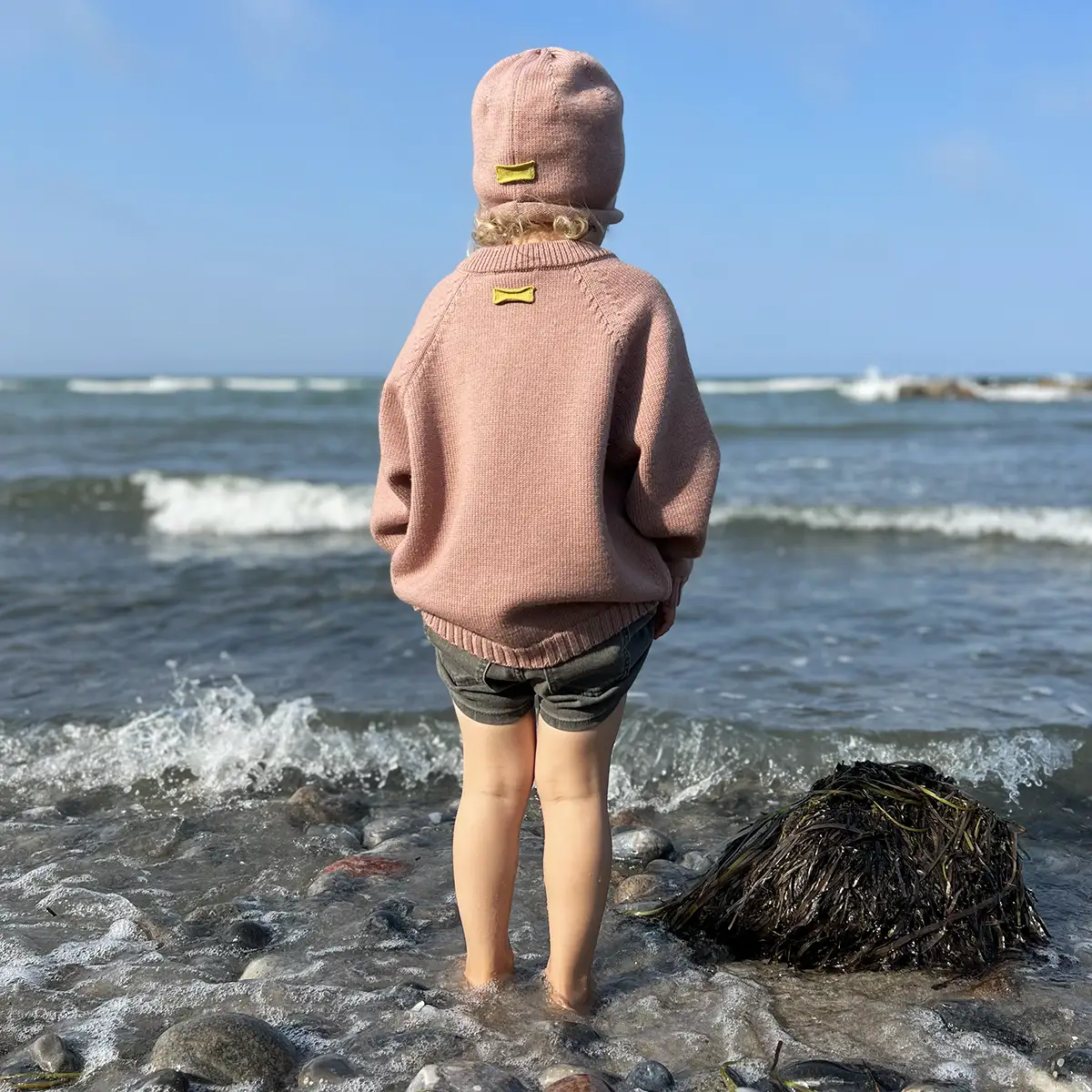 Vorschaubild 3