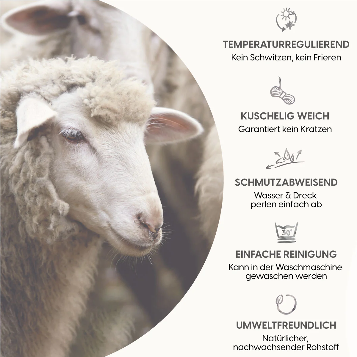 Vorschaubild 8